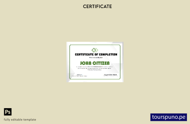 Plantilla de certificado de experiencia de EE. UU. lista para imprimir